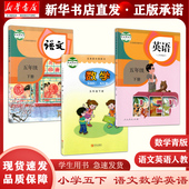 五年级下册语文人教版 数学青岛出版 三本套装 社英语人教版 现货 五下语数英3本套装 课本 新华正版 小学数学口算练 六三制