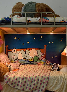 【宿舍专用】网红背景布宿舍墙布挂布魔术贴免打孔寝室改造装饰布