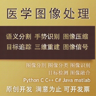 matlab医学图像处理分割代编图像识别python图像深度学习语义分割