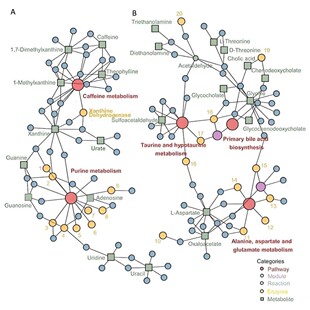 网络药理学代做Cytoscape作图GO富集KEGG通路分子对接