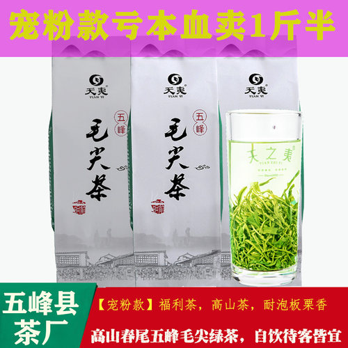 回头率99.99%冲5道五峰毛尖绿茶