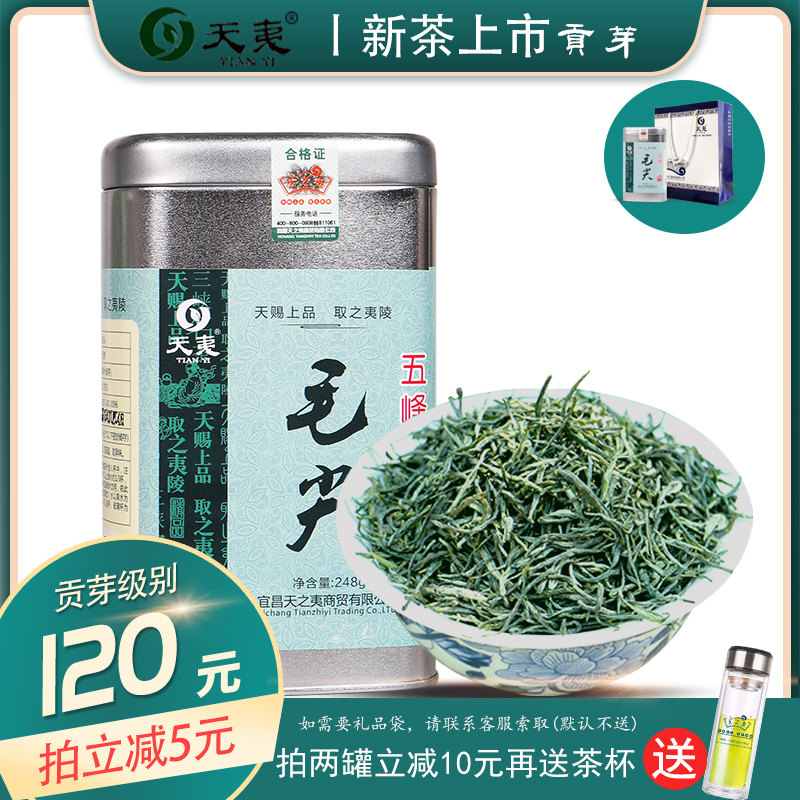 2023新茶五峰毛尖贡芽罐装湖北宜昌绿茶高山云雾浓香耐泡特级明前
