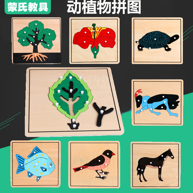 蒙氏动植物嵌板手抓板木质形状