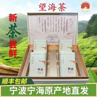 精品望海茶新茶2025年120克礼盒装宁波宁海特产明前高山云雾绿茶