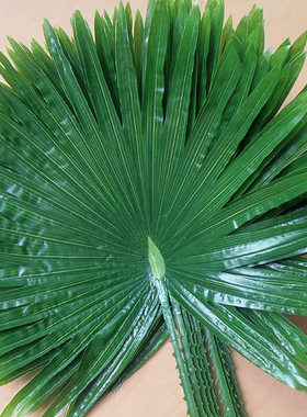 仿真植物扇葵叶棕树叶叶子