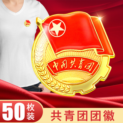 共青团团徽标准型胸针强磁徽章