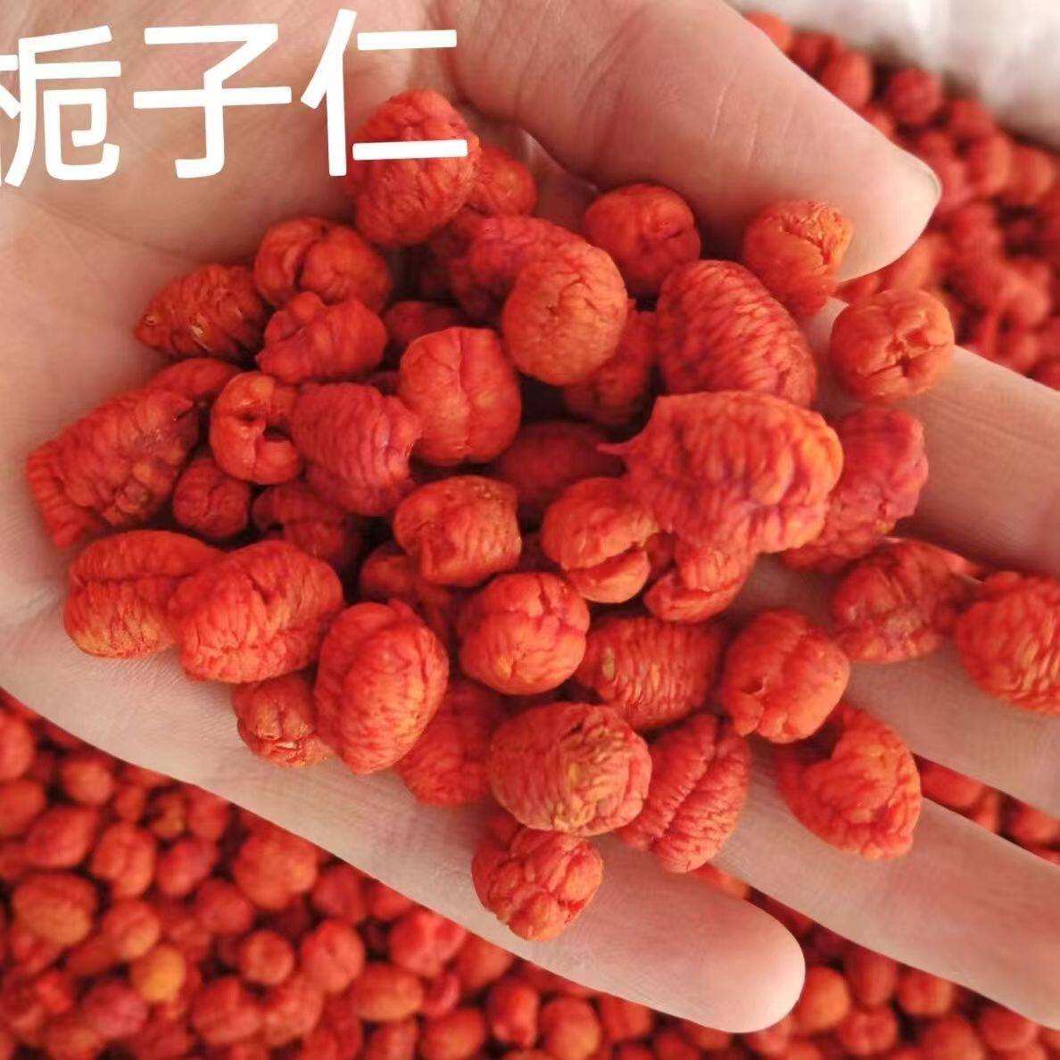 栀子 栀子仁 中药材栀子仁 栀子核 山栀子仁 500壳包邮