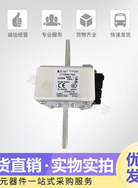 熔断器170M6738 6739 6740 6741 6742 6743 6744欢迎订购