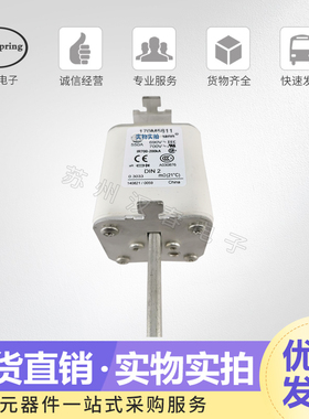 熔断器170M5738 5739 5740 5741 5742 5743 5744 5745 欢迎订购