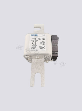 熔断器170M4802 4803 4804 4805 4806 4807 4808 当天可发