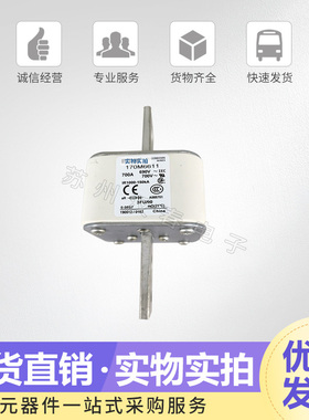 熔断器170M6644 6645 6646 6647 6648 6649 6650 6651