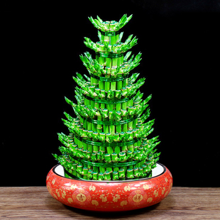 富贵竹水培植物转运竹办公室内盆栽花卉客厅招财开业送礼桌面绿植