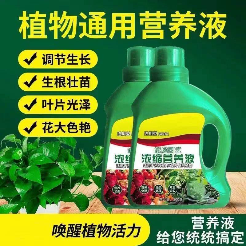 种花营养液盆栽花卉水培太阳花巴无机肥