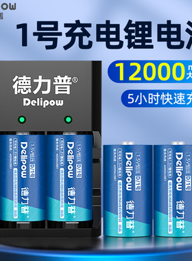 德力普1号充电锂电池充电器燃煤气灶热水器1.5v恒压可冲D型大一号