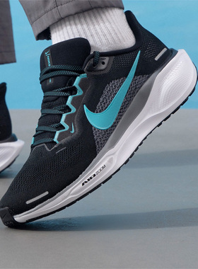 Nike耐克男鞋2025新款Pegasus 41飞马41缓震训练跑步鞋FD2722-007