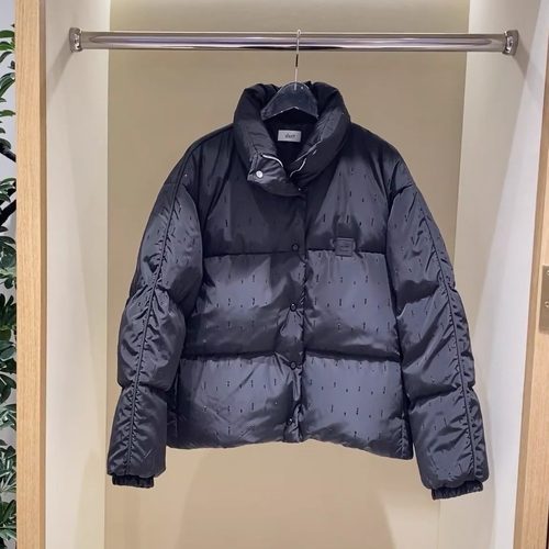 3J4K317吊牌2795小地素dzzit专柜正品2025冬五波女士女士羽绒服