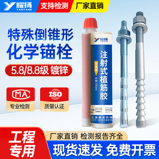 倒锥形化学锚栓高强度8.8级M10M12M16M20M24特殊倒锥形化学锚栓