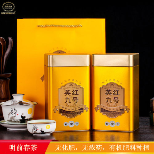 英德红茶英红九号明前春茶