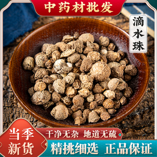 滴水珠中药材野生正品 一粒珠石半夏独叶一枝花一滴珠 500g克包邮