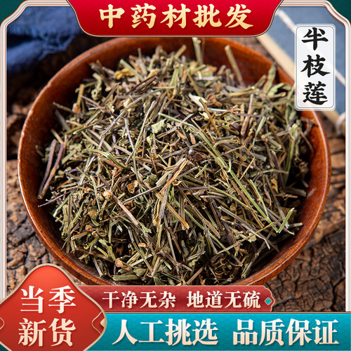 当季新货野生半枝莲有白花蛇舌草