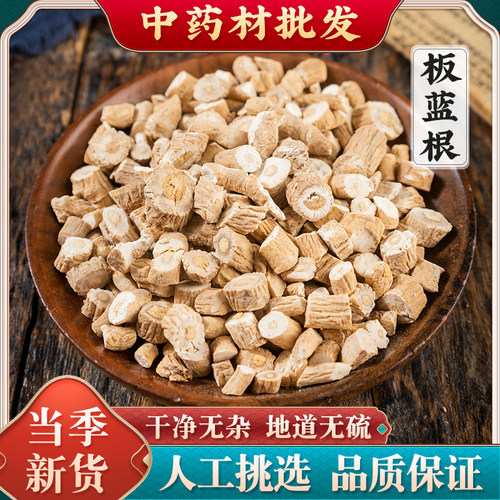 板蓝根中药材正品内蒙古野生