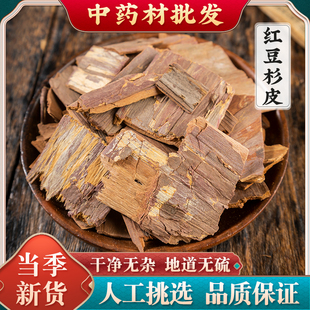 西藏红豆杉皮中药材红豆杉树皮百年含紫彬醇500g克包邮另有根叶