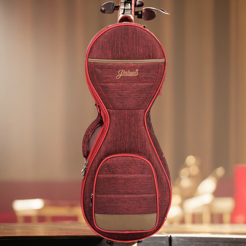 金川柳琴包加厚双肩通用便携套袋