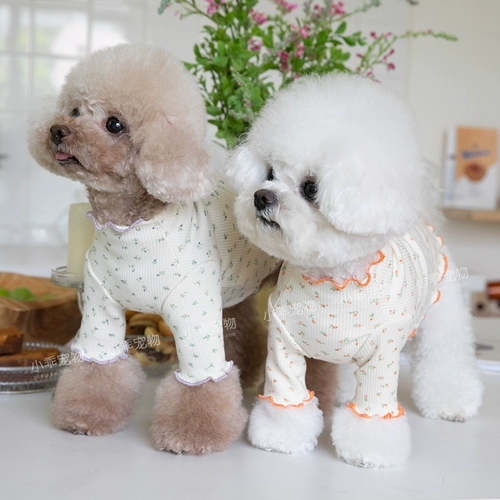 Корейская цветочная домашняя собака, два фута, чтобы победить нижнюю рубашку Тедди Йорк Лето, чем медведь осень и зимний хитрый хладно