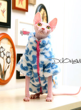 无毛猫斯芬克斯衣服德文冬季外套