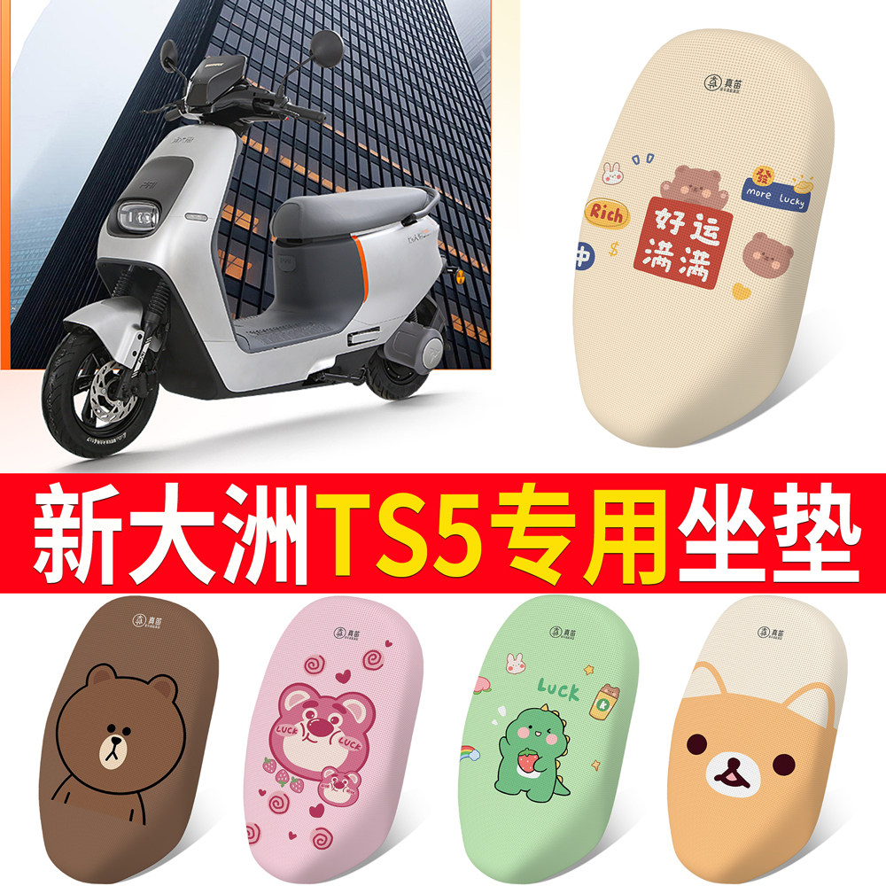 【新大洲TS5】专用坐垫