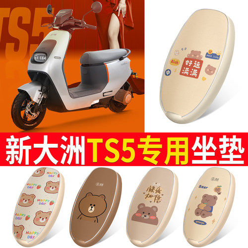 【新大洲TS5】适用皮革坐垫