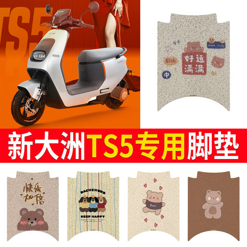 【新大洲TS5】专用脚垫