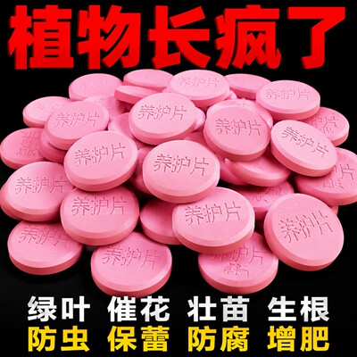 植物营养片通用型家庭园艺