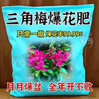三角梅催花开花粉促芽剂催光杆发芽治黄叶落叶枯萎壮根助生长肥料