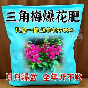 三角梅催花开花粉促芽剂催