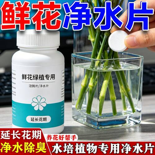 净水免换水培植物通用鲜花