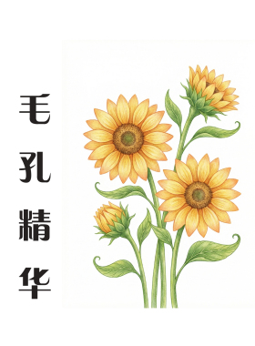 毛孔精华 细毛孔 适合粗油毛孔 黑头闭口反复 闭环管理 温和刷酸