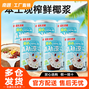 南国椰奶清补凉海南特产椰汁椰浆饮料八宝粥代餐早餐245g 6罐整箱
