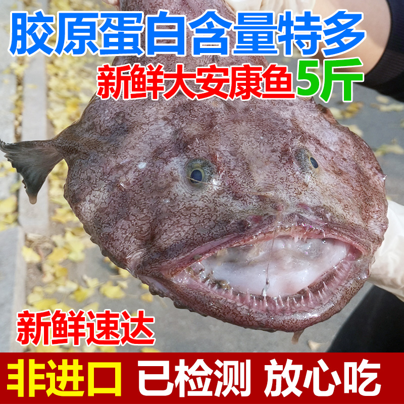 安康鱼5斤新鲜深海大嘴鱼蛤蟆鱼鮟鱇鱼鱼肝鱼肚无刺鱼