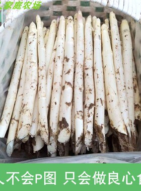 白芦笋新鲜嫩当季上市自家种植现采现挖绿色蔬菜中西餐食材龙须菜