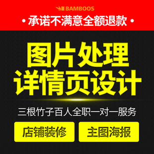 设计宣传册海报画册AI修图P图矢量图制作logo 平面广告详情页包装
