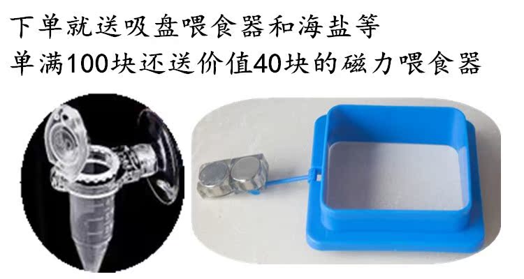 丰年虾卵可孵化卤虫卵水母孔雀鱼观赏鱼小型鱼虾育苗开口鱼食鱼粮在类目 宠物/宠物食品及用品, 水族世界, 观赏鱼饲料中 - 来自Buy2taobao.com提供专业的淘宝代购服务