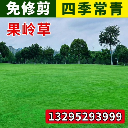 Импортные семена зеленой травы, семена травы, семена четырех сезонов, садовые виллы, зеленые склоны зеленого склона защита