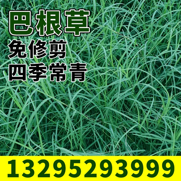 Товары от 禾优种业