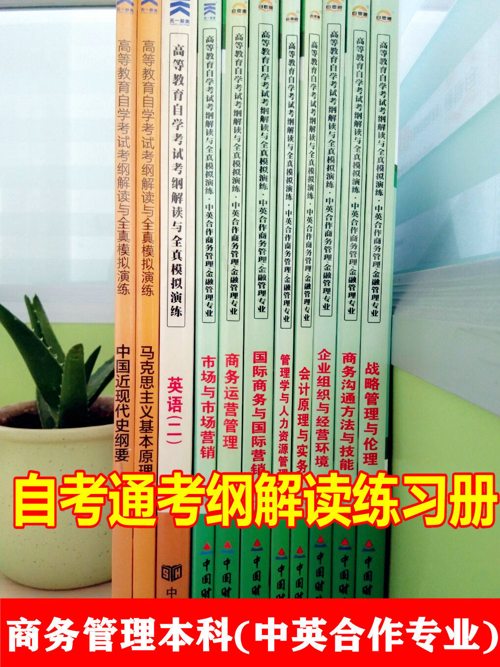正版包邮自考通辅导书全套11本专业代码:C020226 商务管理(本科)(中英合作专业)考纲解读 商务沟通方法与技能会计原理与实务等