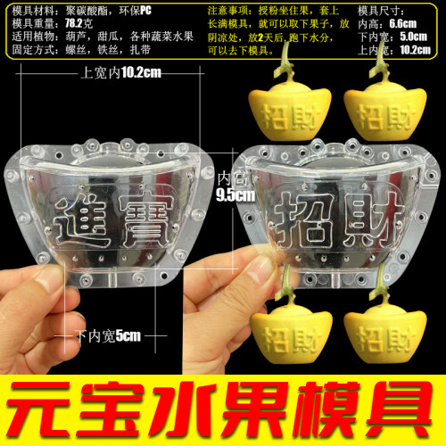 元宝定形模具园艺工具人参果模具水果定型模具苹果梨葫芦生长模具