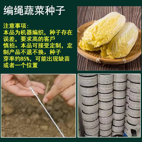 缠绳各种蔬菜种子编绳菠菜马生菜种子萝卜种子胡萝卜小白菜油菜罗