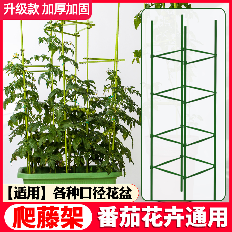 花架爬藤架番茄种植花盆支撑杆