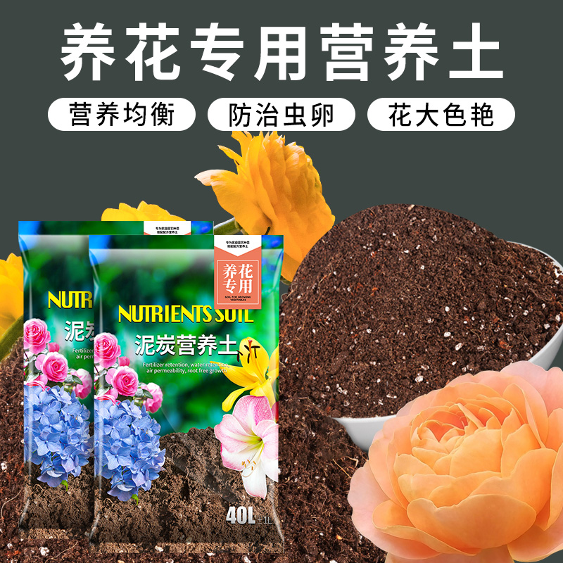 营养土养花专用土家用花泥盆栽土