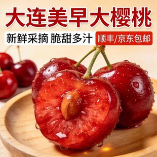 包邮 大连美早樱桃J 水果顺丰京东 4.6斤凌晨新鲜采摘当季 1.6